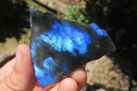 Polished On One Side Labradorite x 12 From Tulear, Madagascar - Toprock Gemstones and Minerals 