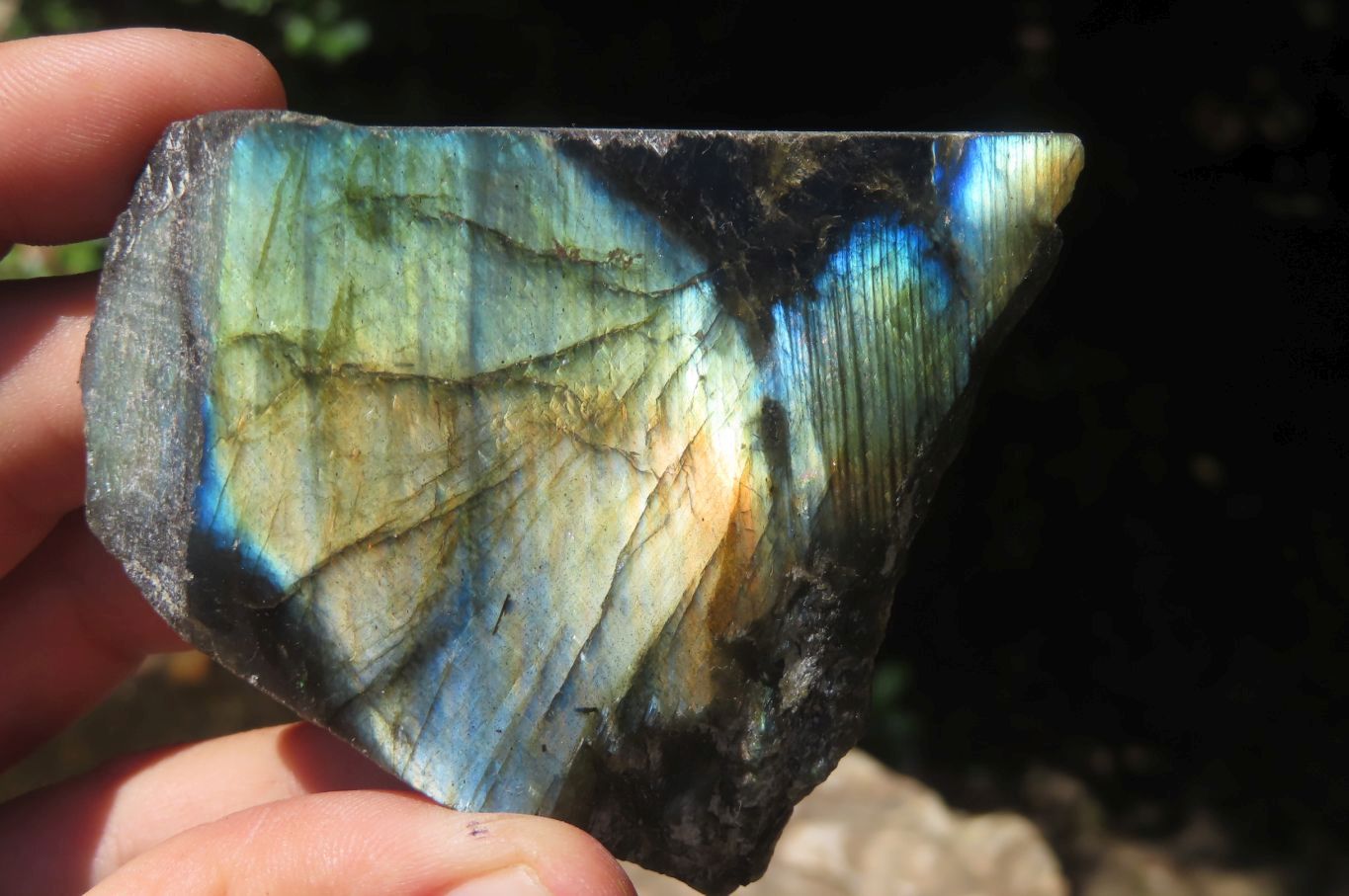 Polished On One Side Labradorite x 12 From Tulear, Madagascar - Toprock Gemstones and Minerals 
