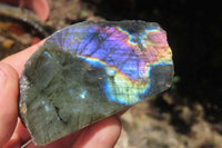 Polished On One Side Labradorite x 12 From Tulear, Madagascar - Toprock Gemstones and Minerals 