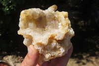 Natural Limonite Quartz Clusters x 6 From Solwezi, Zambia - Toprock Gemstones and Minerals 