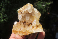 Natural Limonite Quartz Clusters x 6 From Solwezi, Zambia - Toprock Gemstones and Minerals 