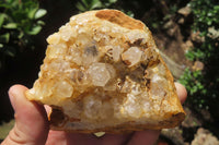 Natural Limonite Quartz Clusters x 6 From Solwezi, Zambia - Toprock Gemstones and Minerals 
