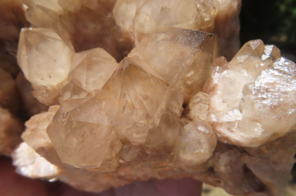 Natural Smokey Quartz Cluster x 1 From Luena, Congo - Toprock Gemstones and Minerals 