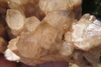 Natural Smokey Quartz Cluster x 1 From Luena, Congo - Toprock Gemstones and Minerals 