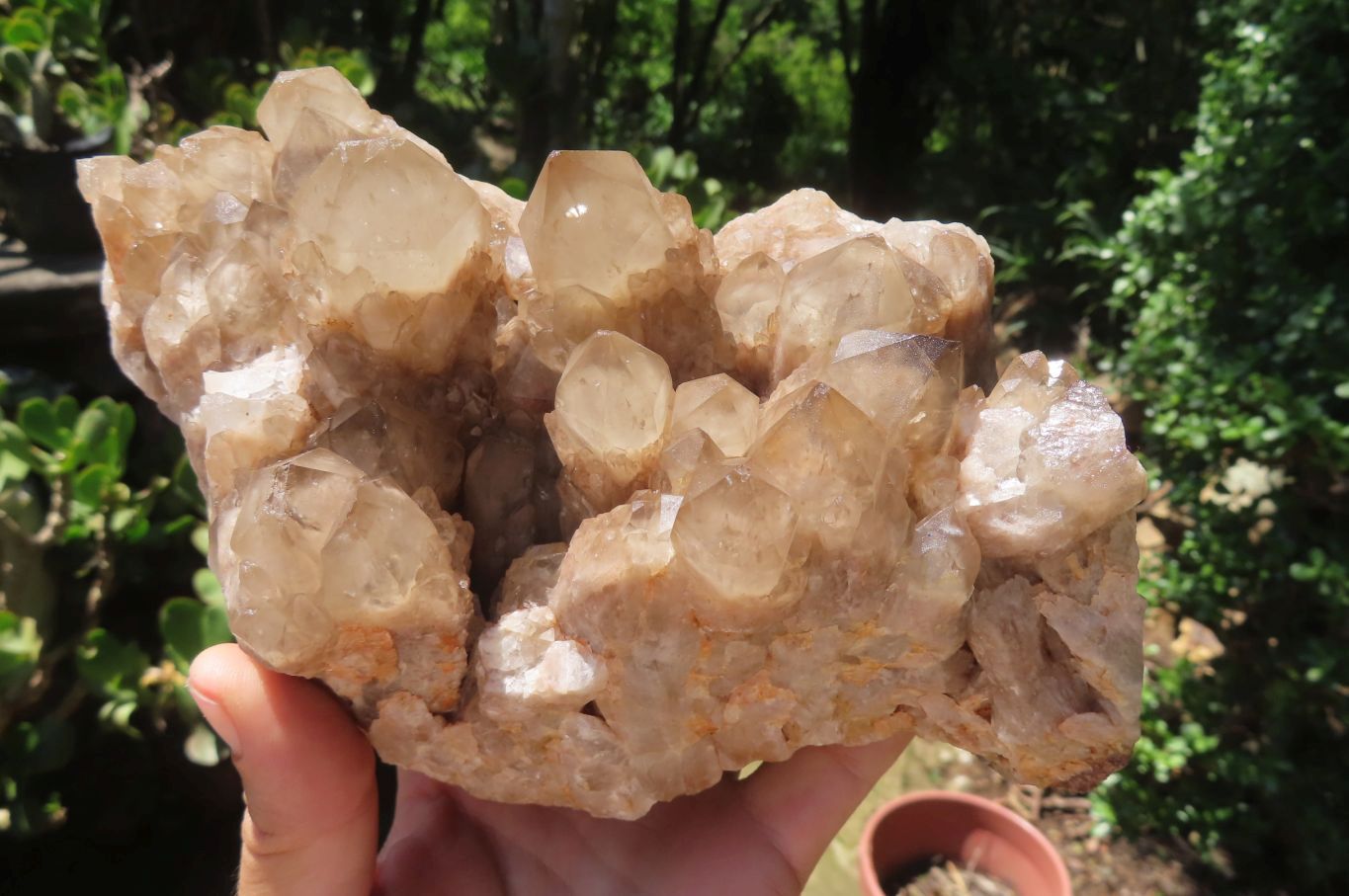 Natural Smokey Quartz Cluster x 1 From Luena, Congo - Toprock Gemstones and Minerals 