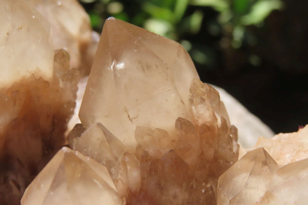 Natural Smokey Quartz Cluster x 1 From Luena, Congo - Toprock Gemstones and Minerals 