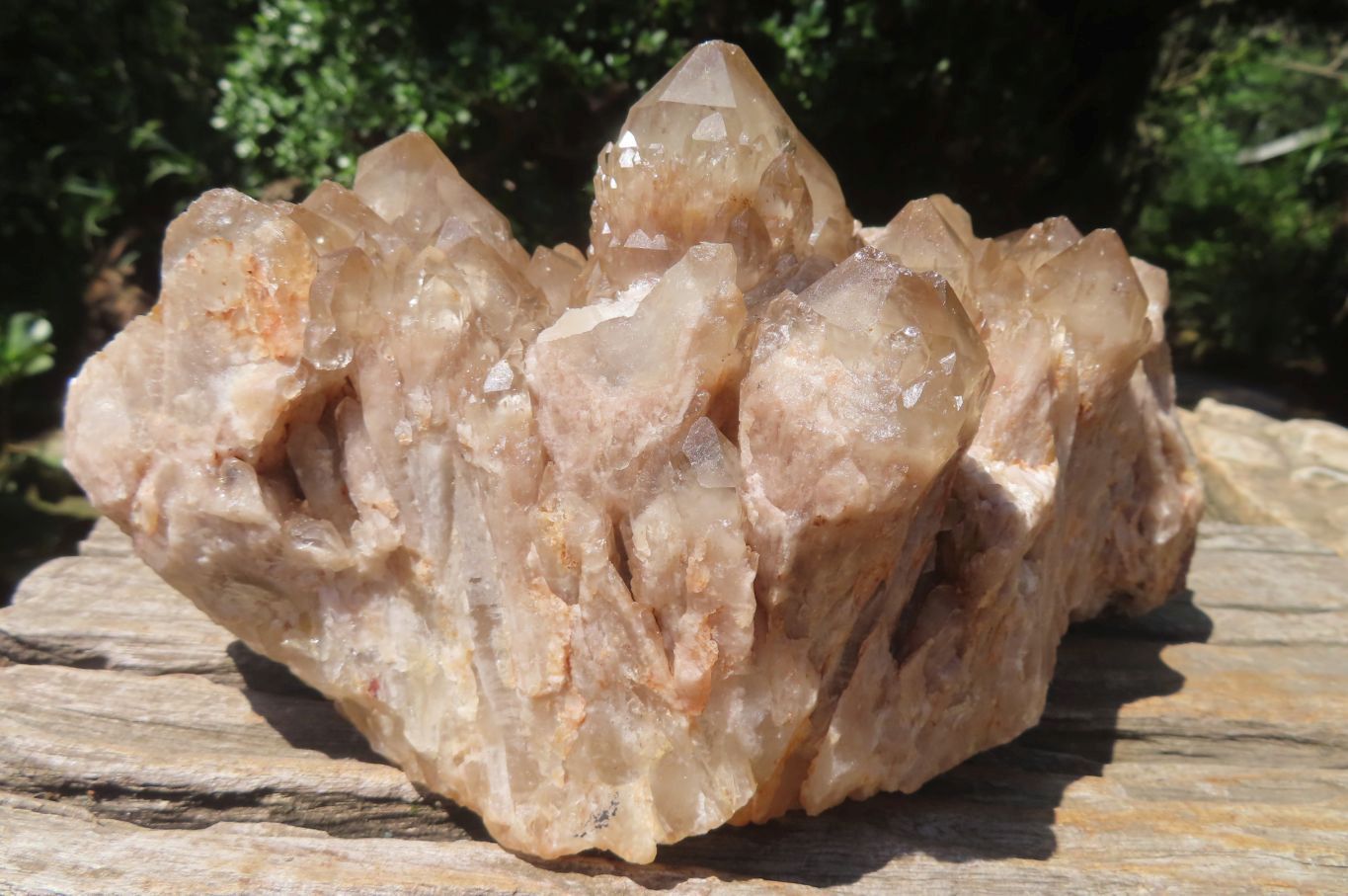 Natural Smokey Quartz Cluster x 1 From Luena, Congo - Toprock Gemstones and Minerals 