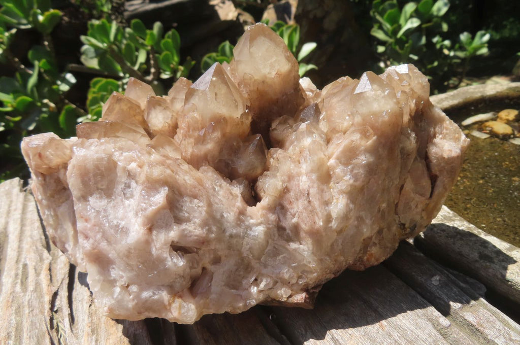 Natural Smokey Quartz Cluster x 1 From Luena, Congo - Toprock Gemstones and Minerals 