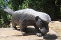Hand Made Soapstone Honey Badger Carving x 1 From Zimbabwe - Toprock Gemstones and Minerals 