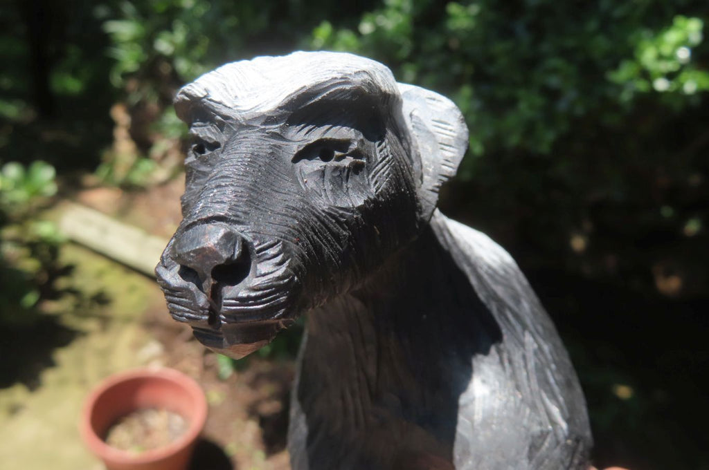 Hand Made Soapstone Honey Badger Carving x 1 From Zimbabwe - Toprock Gemstones and Minerals 