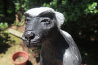 Hand Made Soapstone Honey Badger Carving x 1 From Zimbabwe - Toprock Gemstones and Minerals 