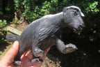 Hand Made Soapstone Honey Badger Carving x 1 From Zimbabwe - Toprock Gemstones and Minerals 