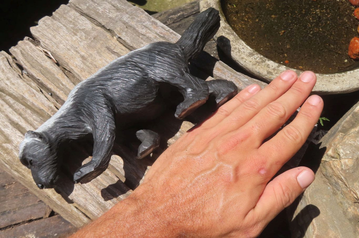 Hand Made Soapstone Honey Badger Carving x 1 From Zimbabwe - Toprock Gemstones and Minerals 