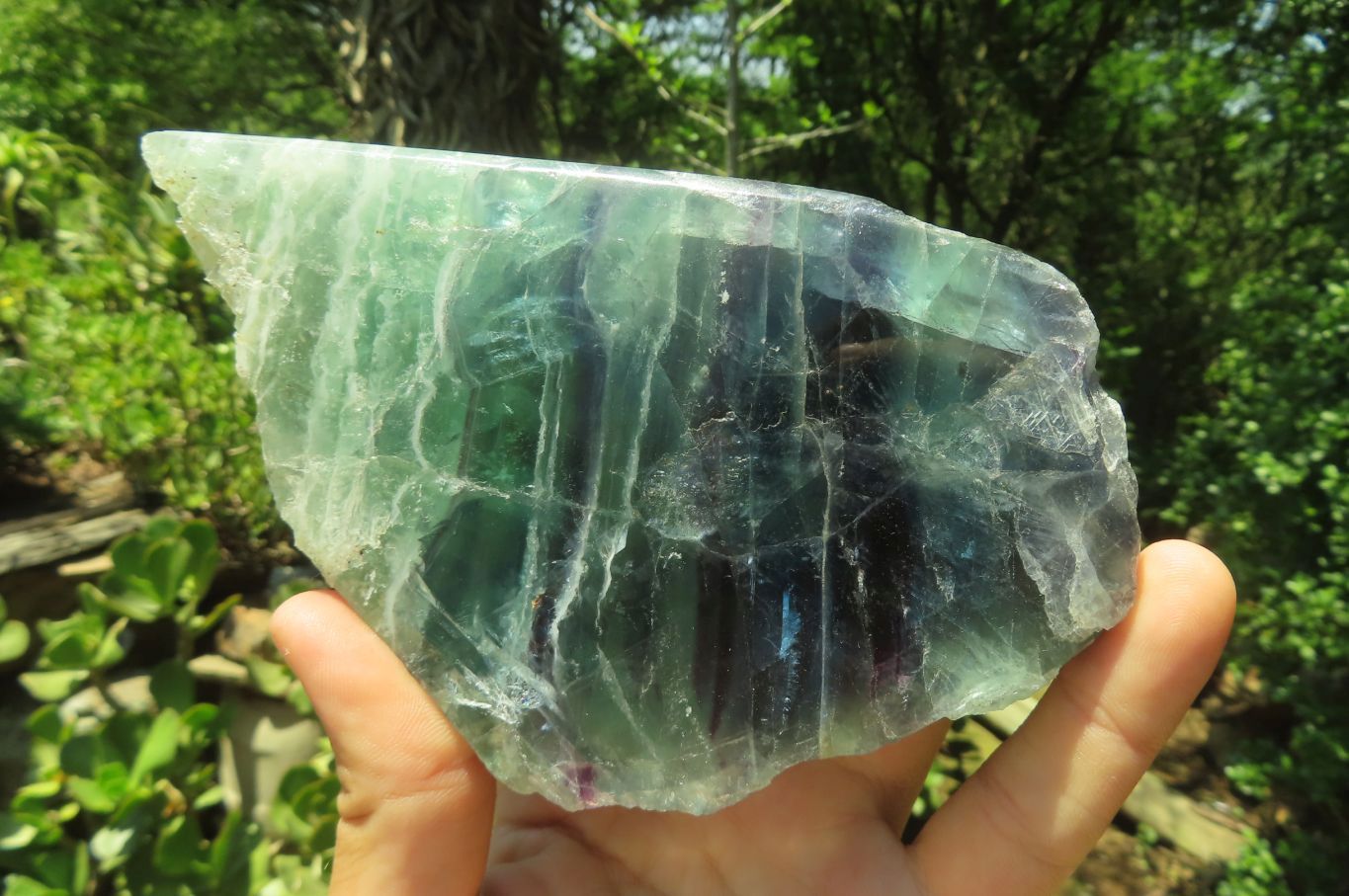 Polished On One Side Watermelon Fluorite x 3 From Namibia - Toprock Gemstones and Minerals 