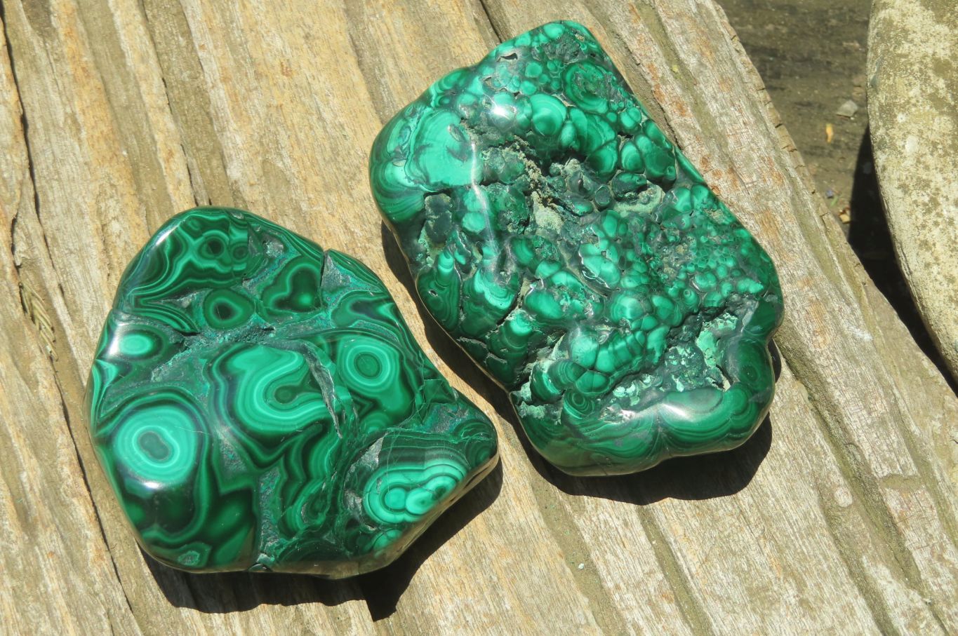 Polished Flower Banded Malachite Free Forms x 3 From Congo - Toprock Gemstones and Minerals 