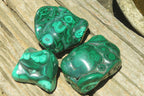 Polished Flower Banded Malachite Free Forms x 3 From Congo - Toprock Gemstones and Minerals 