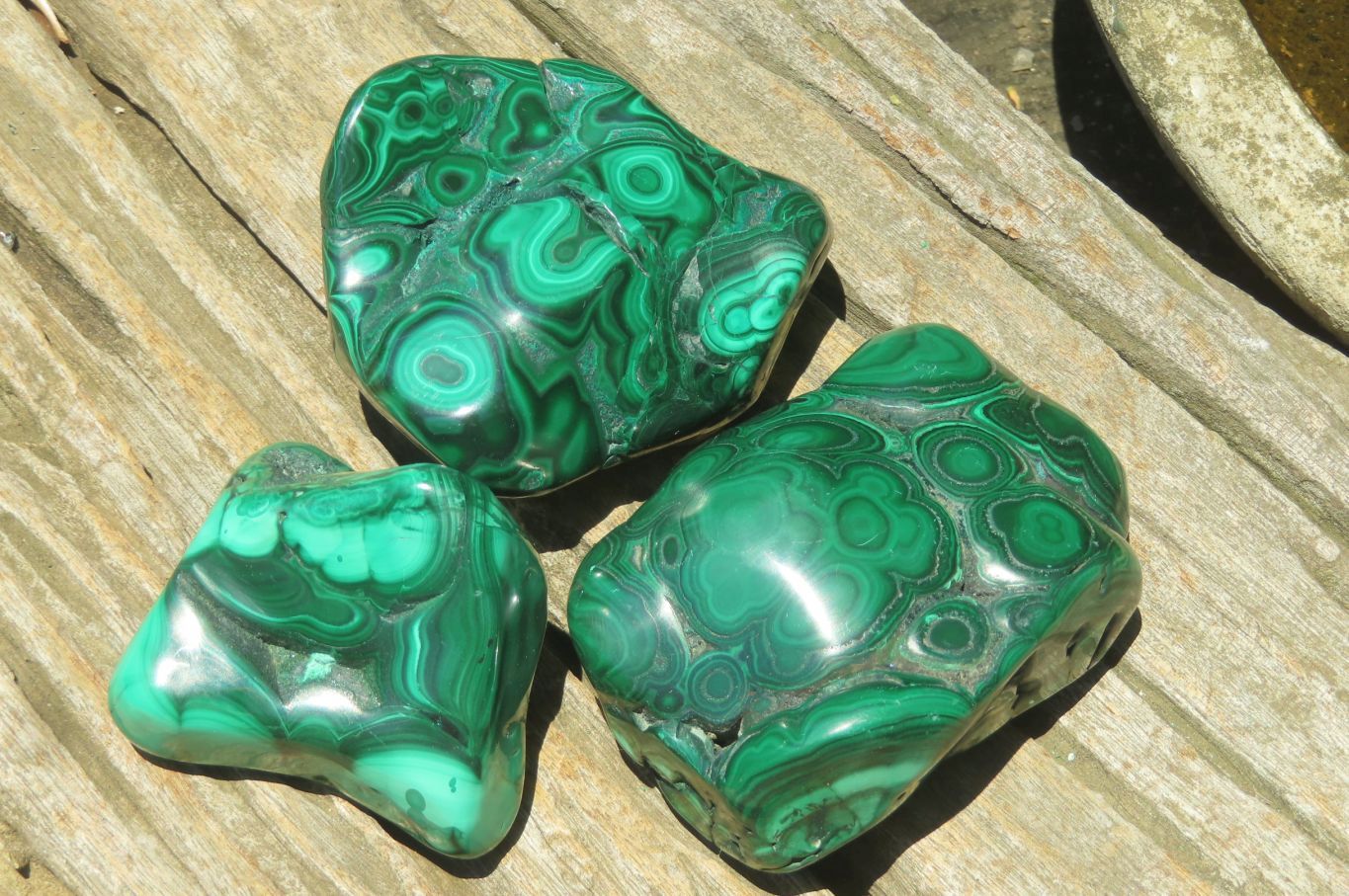 Polished Flower Banded Malachite Free Forms x 3 From Congo - Toprock Gemstones and Minerals 