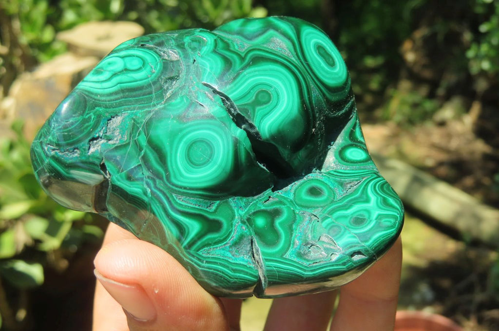 Polished Flower Banded Malachite Free Forms x 3 From Congo - Toprock Gemstones and Minerals 