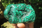 Polished Flower Banded Malachite Free Forms x 3 From Congo - Toprock Gemstones and Minerals 