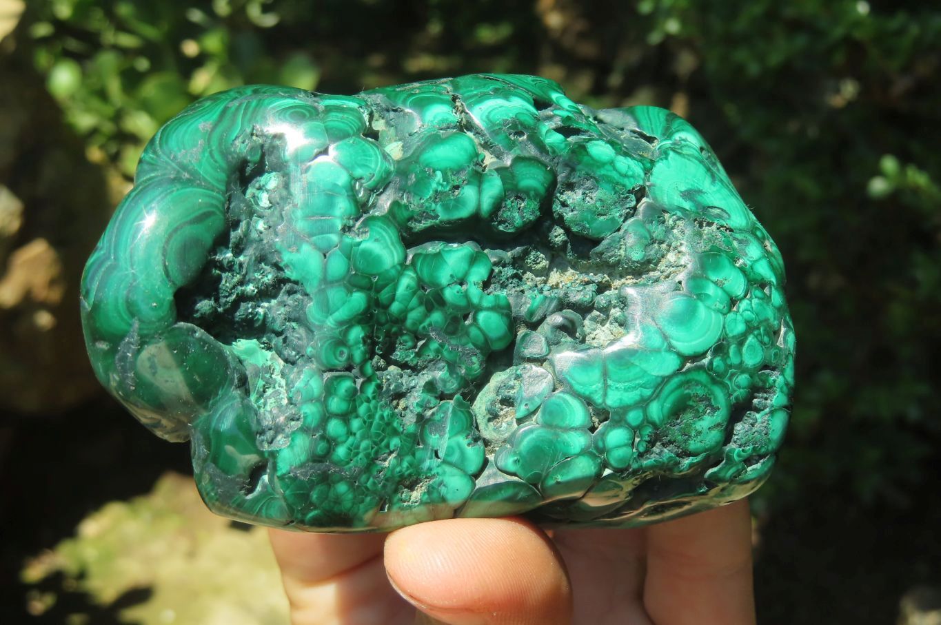 Polished Flower Banded Malachite Free Forms x 3 From Congo - Toprock Gemstones and Minerals 