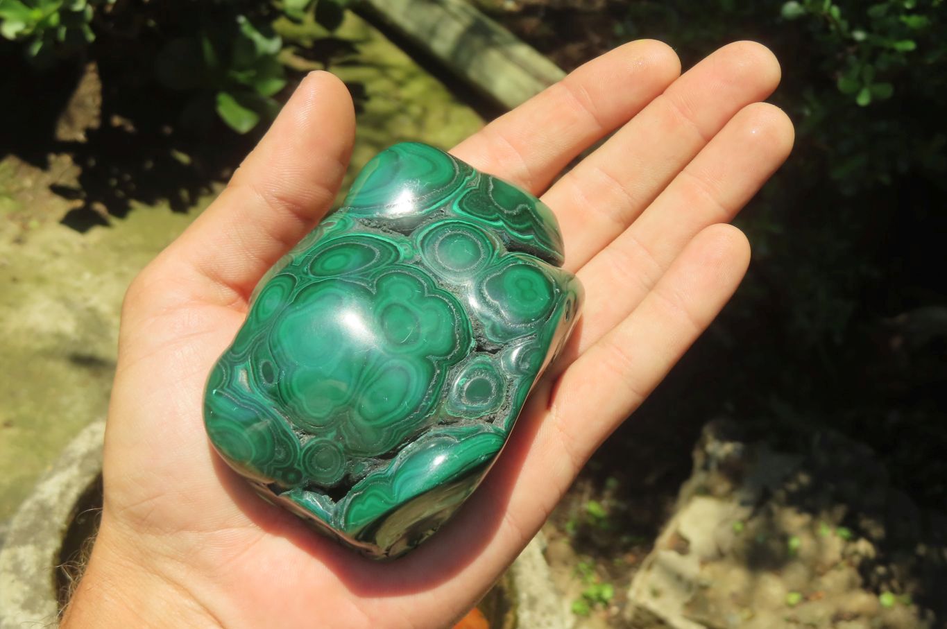 Polished Flower Banded Malachite Free Forms x 3 From Congo - Toprock Gemstones and Minerals 