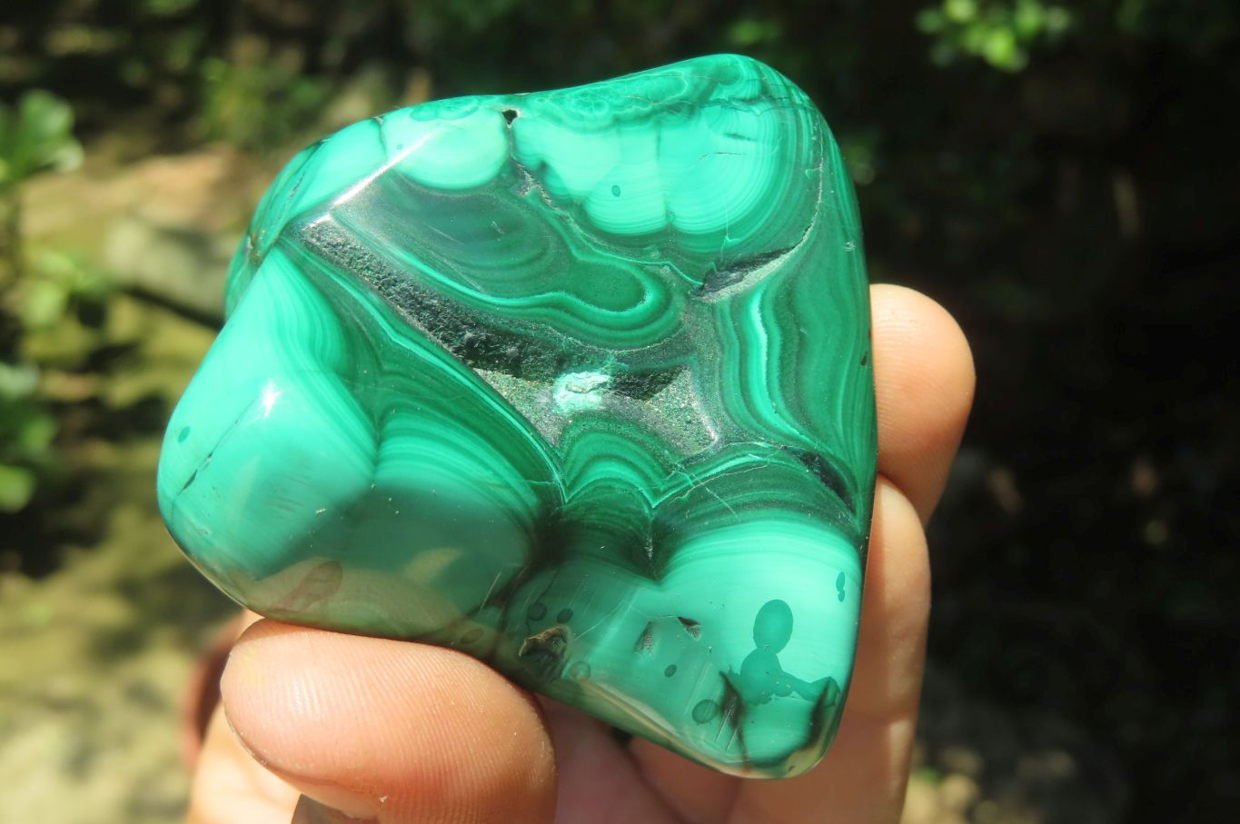 Polished Flower Banded Malachite Free Forms x 3 From Congo - Toprock Gemstones and Minerals 