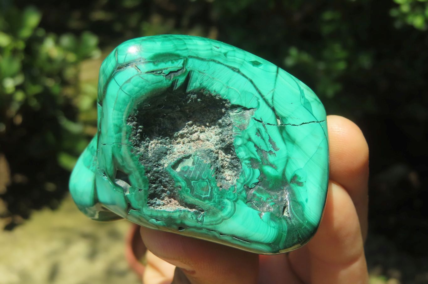Polished Flower Banded Malachite Free Forms x 3 From Congo - Toprock Gemstones and Minerals 