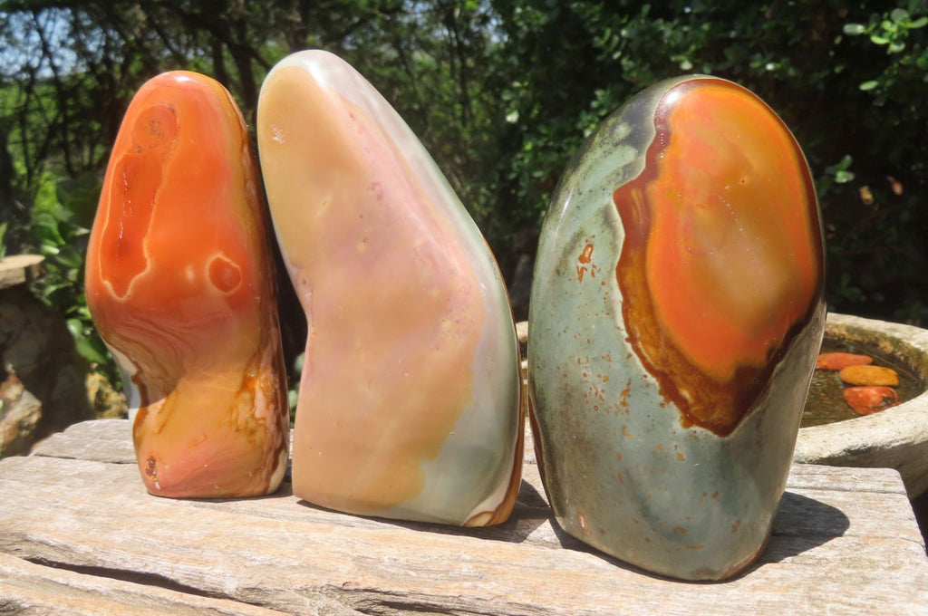 Polished Polychrome Jasper Standing Free Forms x 3 From Mahajanga, Madagascar - Toprock Gemstones and Minerals 