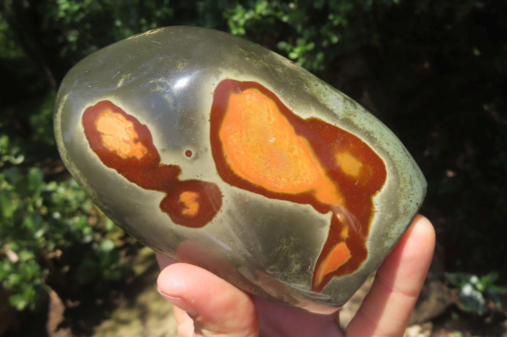 Polished Polychrome Jasper Standing Free Forms x 3 From Mahajanga, Madagascar - Toprock Gemstones and Minerals 