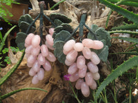 Polished Rose Quartz Hanging Bunch of Grapes with Green Fuchsite Leaves - sold per item - From South Africa - Toprock Gemstones and Minerals 