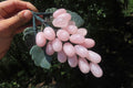 Polished Rose Quartz Hanging Bunch of Grapes with Green Fuchsite Leaves - sold per item - From South Africa - Toprock Gemstones and Minerals 