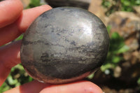 Polished Pharaoh Stone Free Forms x 6 From Zimbabwe - Toprock Gemstones and Minerals 