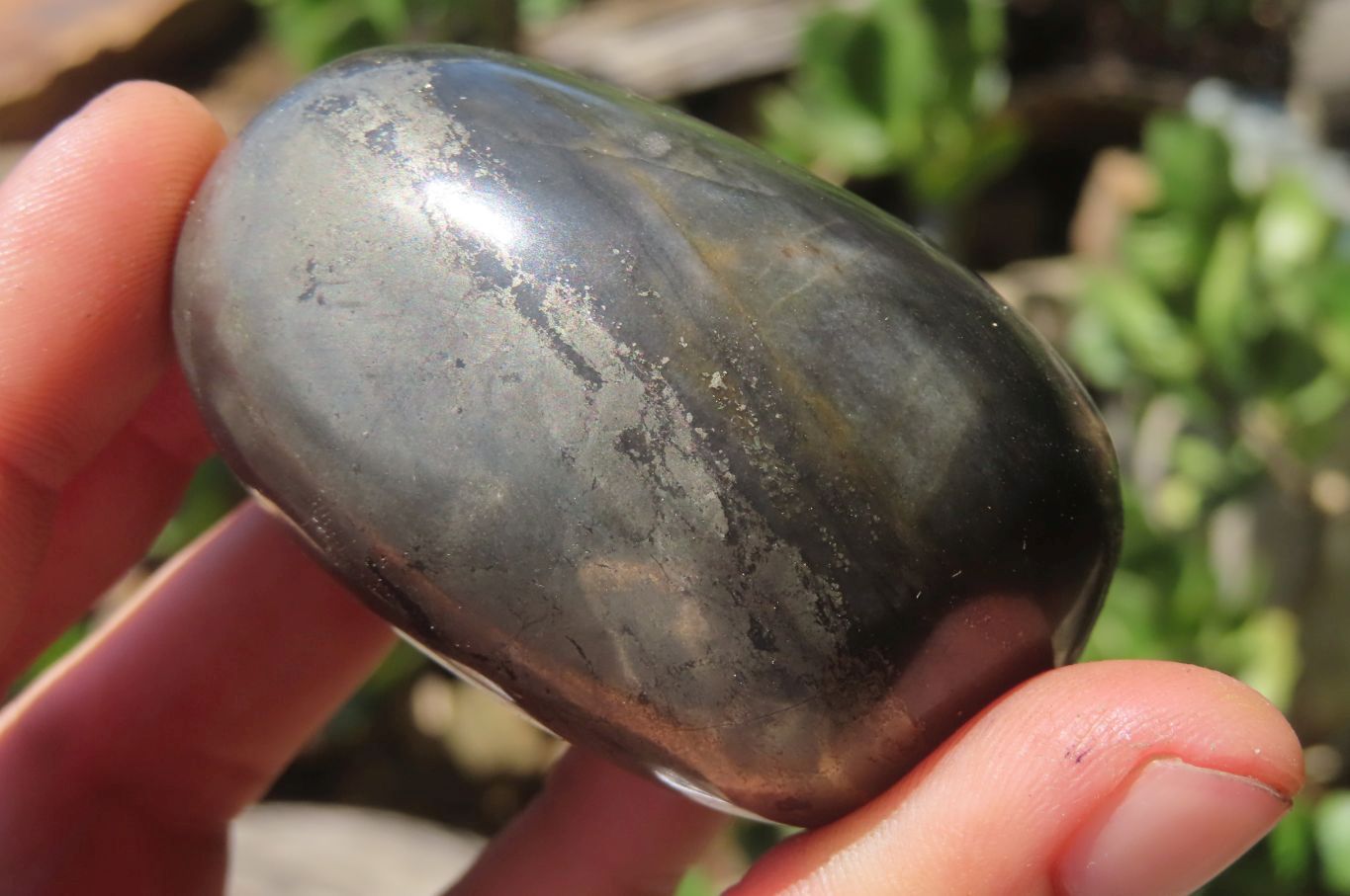 Polished Pharaoh Stone Free Forms x 6 From Zimbabwe - Toprock Gemstones and Minerals 