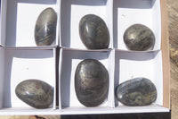 Polished Pharaoh Stone Free Forms x 6 From Zimbabwe - Toprock Gemstones and Minerals 