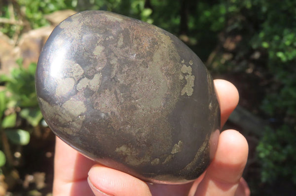 Polished Pharaoh Stone Free Forms x 6 From Zimbabwe - Toprock Gemstones and Minerals 
