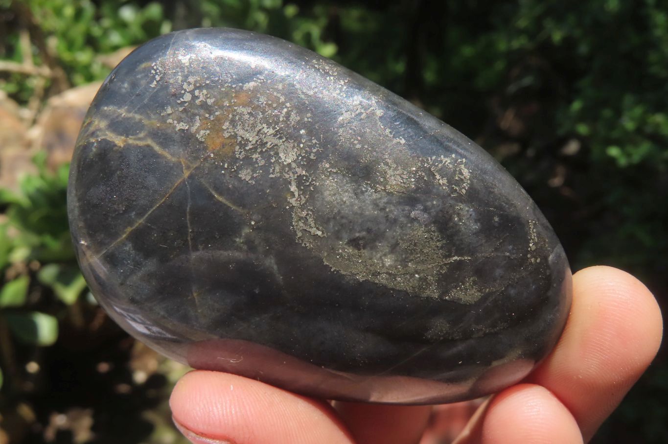 Polished Pharaoh Stone Free Forms x 6 From Zimbabwe - Toprock Gemstones and Minerals 