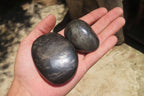 Polished Pharaoh Stone Free Forms x 6 From Zimbabwe - Toprock Gemstones and Minerals 