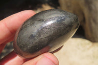 Polished Pharaoh Stone Free Forms x 6 From Zimbabwe - Toprock Gemstones and Minerals 
