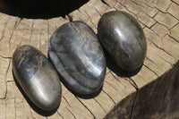 Polished Pharaoh Stone Free Forms x 6 From Zimbabwe - Toprock Gemstones and Minerals 