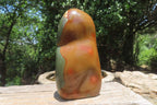 Polished Polychrome Jasper Standing Free Forms x 2 From Madagascar - Toprock Gemstones and Minerals 