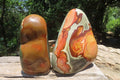 Polished Polychrome Jasper Standing Free Forms x 2 From Madagascar - Toprock Gemstones and Minerals 