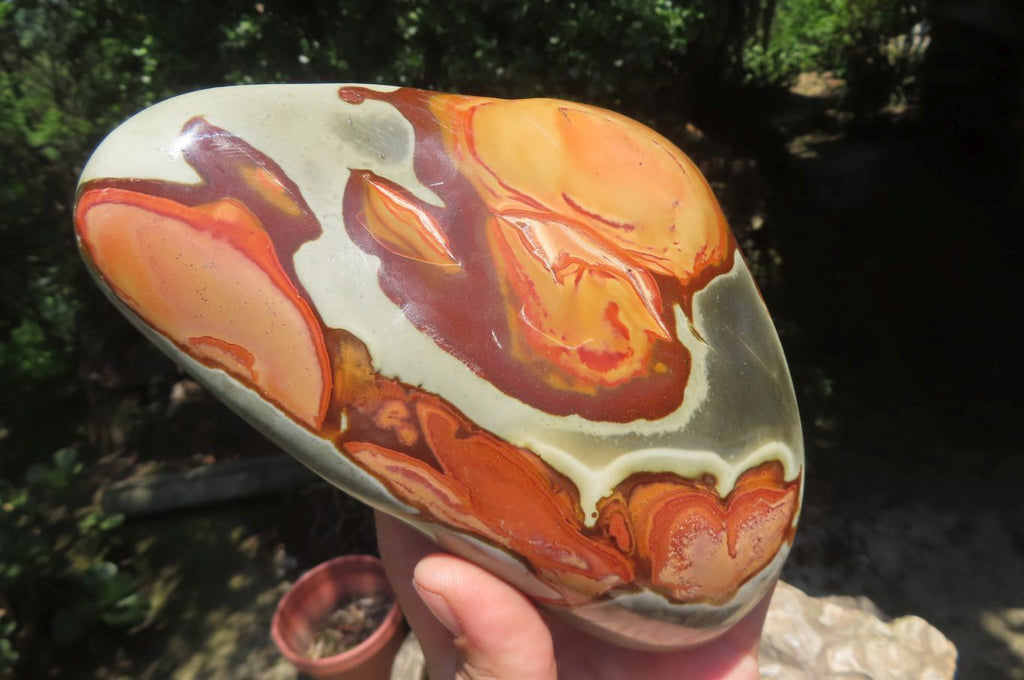 Polished Polychrome Jasper Standing Free Forms x 2 From Madagascar - Toprock Gemstones and Minerals 
