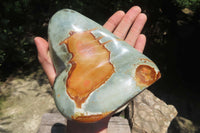 Polished Polychrome Jasper Standing Free Forms x 2 From Madagascar - Toprock Gemstones and Minerals 