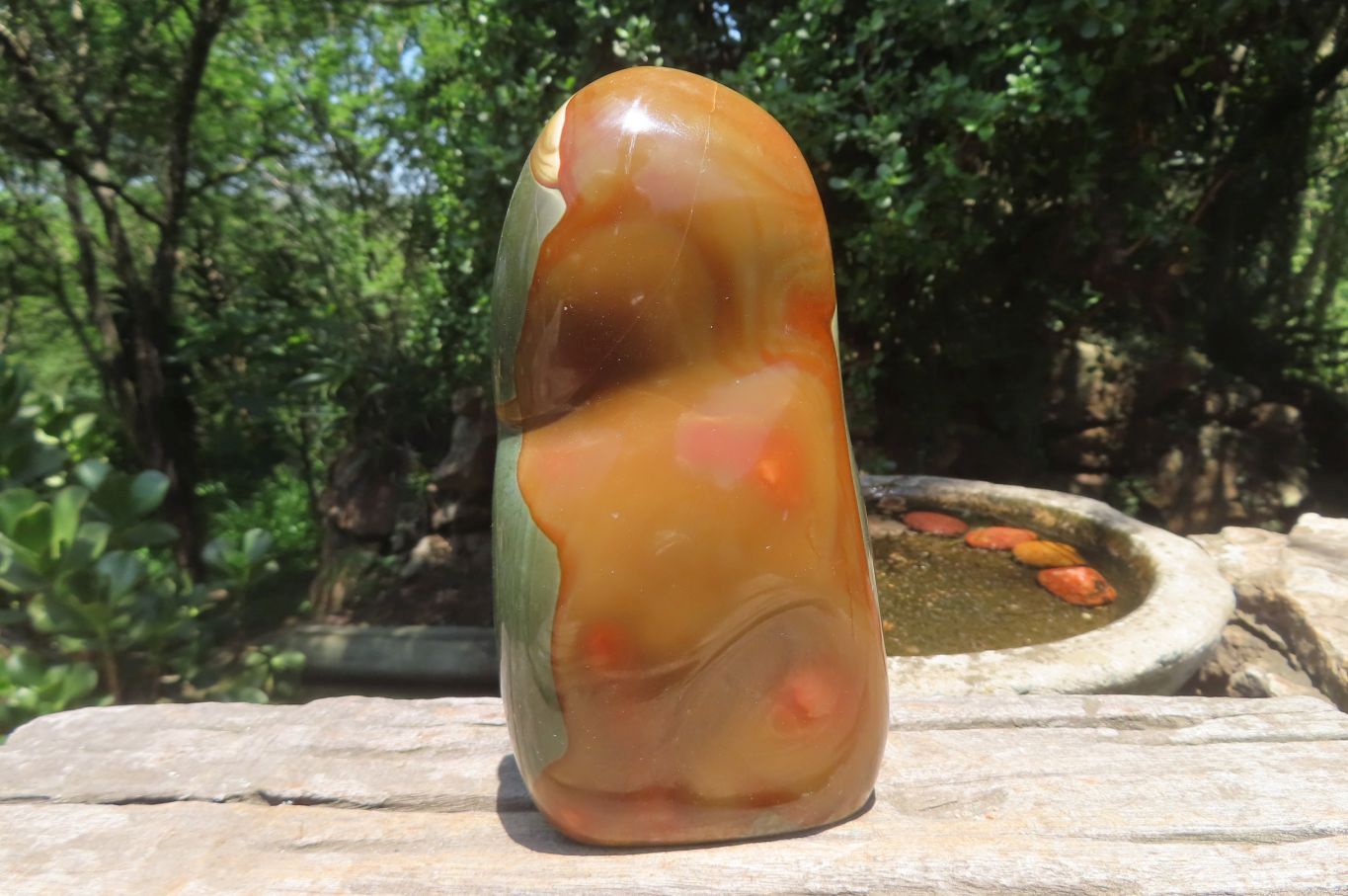 Polished Polychrome Jasper Standing Free Forms x 2 From Madagascar - Toprock Gemstones and Minerals 