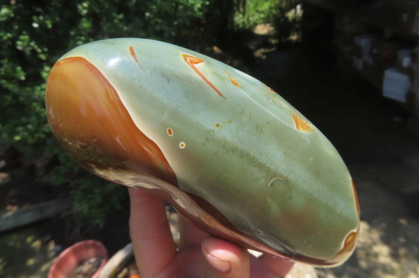 Polished Polychrome Jasper Standing Free Forms x 2 From Madagascar - Toprock Gemstones and Minerals 