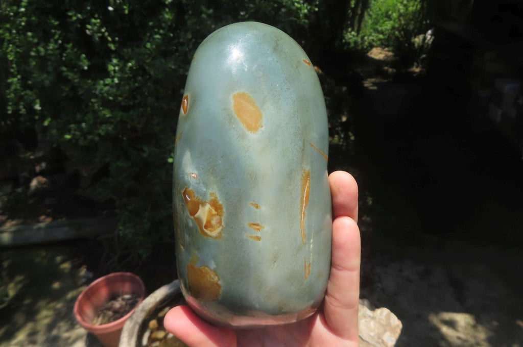 Polished Polychrome Jasper Standing Free Forms x 2 From Madagascar - Toprock Gemstones and Minerals 