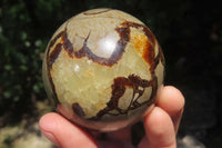 Polished Septerye Spheres x 4 From Madagascar