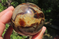 Polished Septerye Spheres x 4 From Madagascar