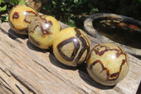 Polished Septerye Spheres x 4 From Madagascar