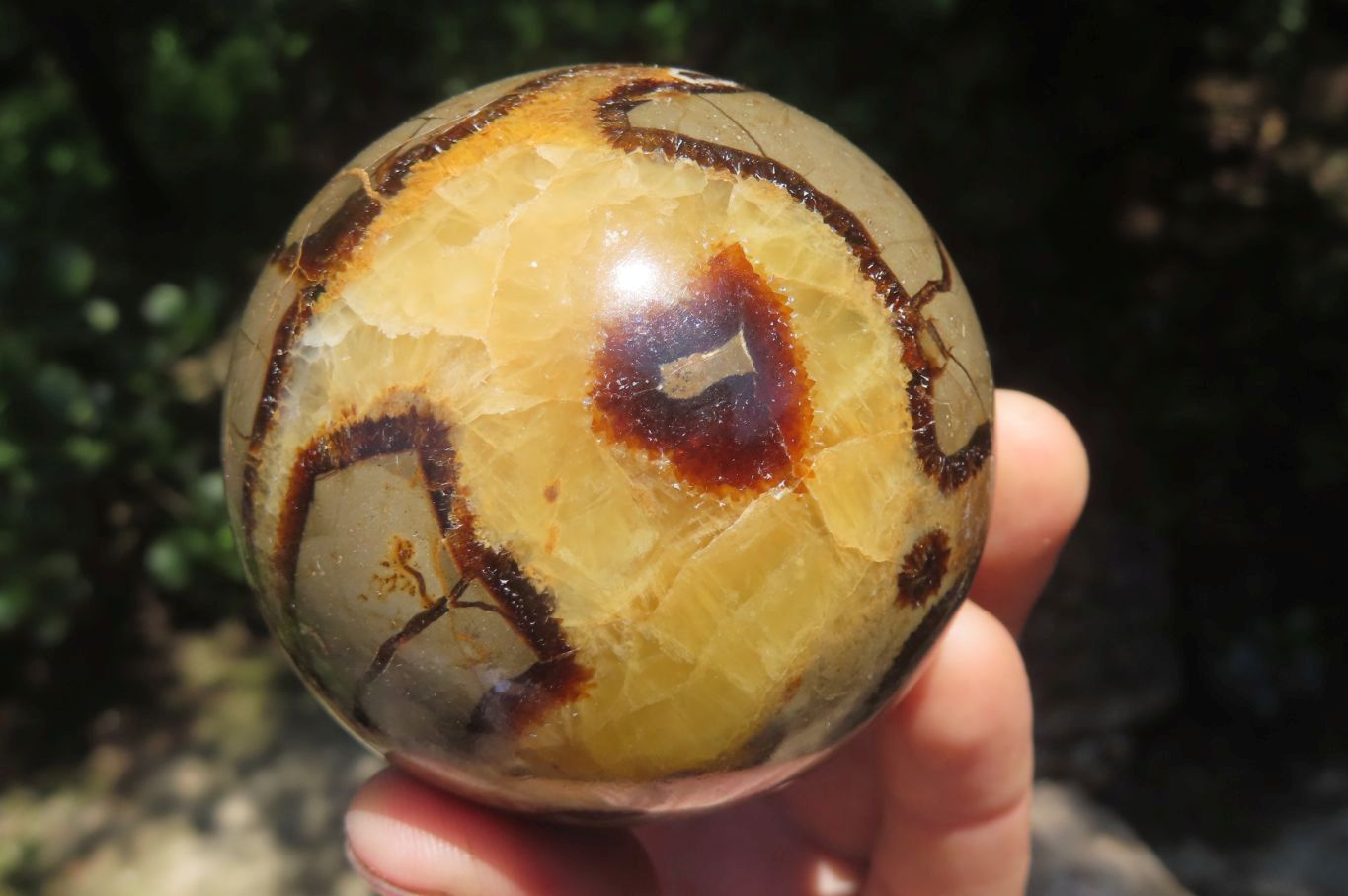 Polished Septerye Spheres x 4 From Madagascar - Toprock Gemstones and Minerals 